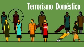 Terrorismo doméstico